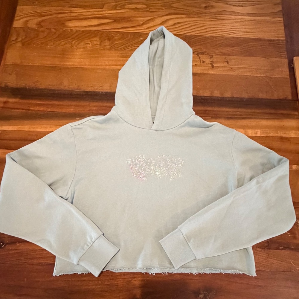 Ripndip Womens Sage Green Rhinestone Logo Cropped Hoodie Size L New